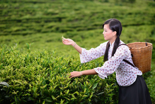 茶趣一题：玩茶