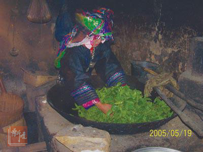 俐侎人制茶全程