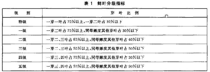 普洱茶市场为什么这样乱？（之一）：搞笑的普洱茶国家标准