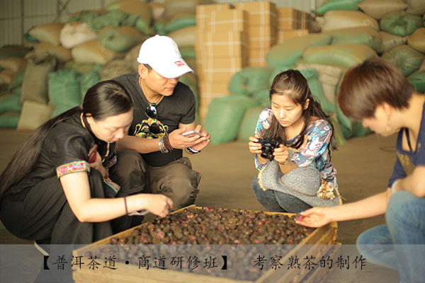 普洱茶市场为什么这样乱？（之一）：搞笑的普洱茶国家标准