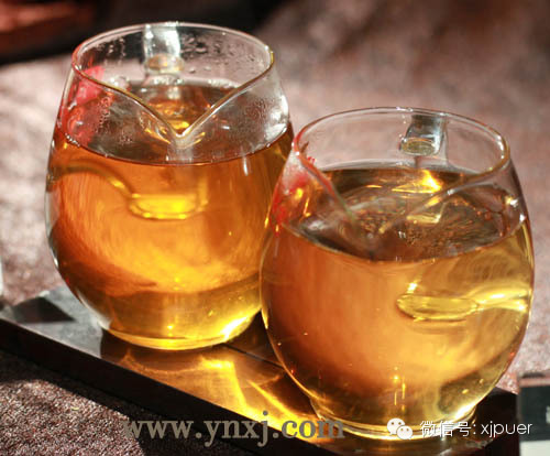 世界茶祖普洱茶：茶树原产地之争不是单纯的学术论争