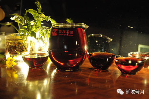 今生,缘定普洱茶
