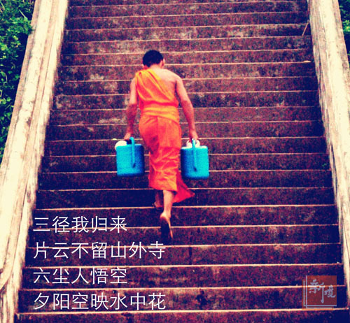 《长句与晴皋索普洱茶》